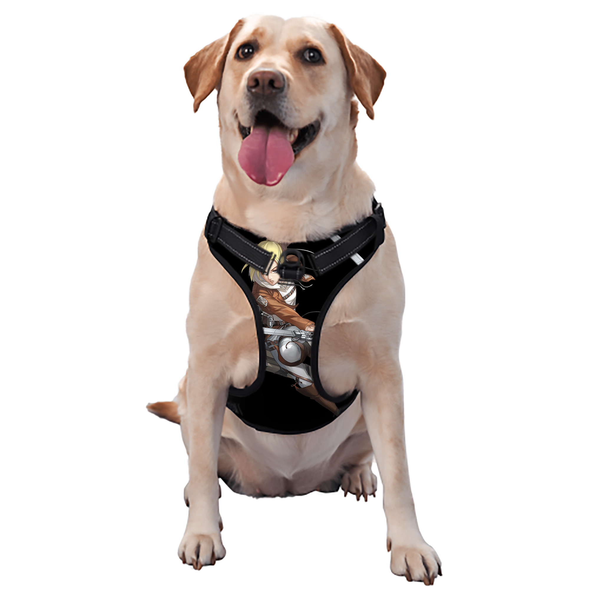 （画像用） 進撃の巨人 アニ・レオンハート Attack on Titan Annie Leonhart ペット用ハーネス